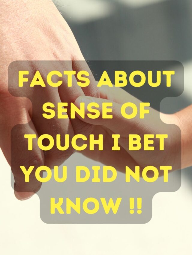 Sense of Touch is grossly underrated